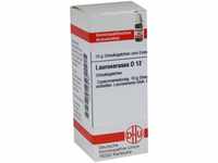 DHU-Arzneimittel GmbH & Co. KG Laurocerasus D 12 Globuli 10 g 07248163_DBA