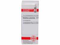 DHU-Arzneimittel GmbH & Co. KG Dolichos Pruriens D 12 Globuli 10 g 07247198_DBA