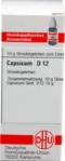 DHU-Arzneimittel GmbH & Co. KG Capsicum D 12 Globuli 10 g 03631534_DBA