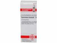 DHU-Arzneimittel GmbH & Co. KG Equisetum Hiemale D 12 Globuli 10 g 07167275_DBA
