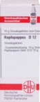 DHU-Arzneimittel GmbH & Co. KG Haplopappus D 12 Globuli 10 g 07247666_DBA