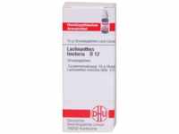 DHU-Arzneimittel GmbH & Co. KG Lachnanthes tinctoria D 12 Globuli 10 g...