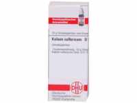 DHU-Arzneimittel GmbH & Co. KG Kalium Sulfuricum D 12 Globuli 10 g 04223228_DBA