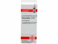 DHU-Arzneimittel GmbH & Co. KG Anacardium D 12 Globuli 10 g 04203332_DBA