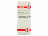 DHU-Arzneimittel GmbH & Co. KG Wyethia Helenoides D 12 Globuli 10 g 07250125_DBA