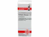 DHU-Arzneimittel GmbH & Co. KG Calcium Silicicum D 12 Globuli 10 g 07162734_DBA