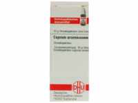 DHU-Arzneimittel GmbH & Co. KG Cuprum Arsenicosum D 12 Globuli 10 g 02897626_DBA
