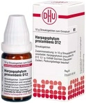 DHU-Arzneimittel GmbH & Co. KG Harpagophytum Procumbens D 12 Globuli 10 g