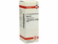 DHU-Arzneimittel GmbH & Co. KG Ruta D 12 Dilution 20 ml 02930453_DBA