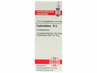 DHU-Arzneimittel GmbH & Co. KG Euphorbium D 6 Globuli 10 g 04216487_DBA