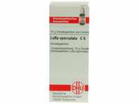 DHU-Arzneimittel GmbH & Co. KG Luffa Operculata C 6 Globuli 10 g 07248499_DBA