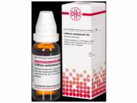DHU-Arzneimittel GmbH & Co. KG Lithium Carbonicum D 4 Dilution 20 ml...