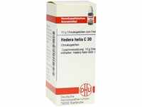 DHU-Arzneimittel GmbH & Co. KG Hedera Helix C 30 Globuli 10 g 07595746_DBA
