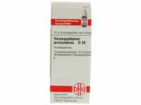 DHU-Arzneimittel GmbH & Co. KG Harpagophytum Procumbens D 30 Globuli 10 g