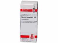 DHU-Arzneimittel GmbH & Co. KG Cynara Scolymus D 6 Globuli 10 g 07595315_DBA