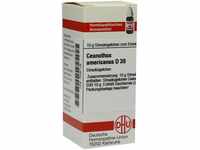 DHU-Arzneimittel GmbH & Co. KG Ceanothus Americanus D 30 Globuli 10 g...
