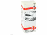 DHU-Arzneimittel GmbH & Co. KG Causticum Hahnemanni C 10 Globuli 10 g...