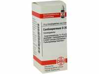 DHU-Arzneimittel GmbH & Co. KG Cardiospermum D 200 Globuli 10 g 07595019_DBA