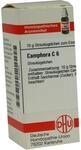 DHU-Arzneimittel GmbH & Co. KG Camphora C 6 Globuli 10 g 07594988_DBA