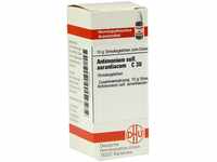 DHU-Arzneimittel GmbH & Co. KG Antimonium Sulfuratum aurantiacum C 30 Globuli 10 g