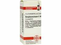 DHU-Arzneimittel GmbH & Co. KG Streptococcinum C 200 Globuli 10 g 07460012_DBA