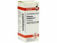 DHU-Arzneimittel GmbH & Co. KG Collinsonia Canadensis D 4 Globuli 10 g...