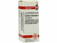 DHU-Arzneimittel GmbH & Co. KG Carduus Marianus C 200 Globuli 10 g 07455620_DBA