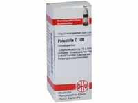 DHU-Arzneimittel GmbH & Co. KG Pulsatilla C 100 Globuli 10 g 07249300_DBA
