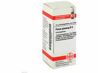 DHU-Arzneimittel GmbH & Co. KG Panax Ginseng D 6 Globuli 10 g 07249062_DBA