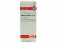 DHU-Arzneimittel GmbH & Co. KG Flor DE Piedra C 30 Globuli 10 g 07247399_DBA