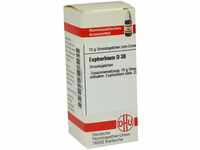 DHU-Arzneimittel GmbH & Co. KG Euphorbium D 30 Globuli 10 g 07247301_DBA