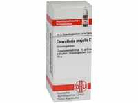 DHU-Arzneimittel GmbH & Co. KG Convallaria Majalis C 30 Globuli 10 g...