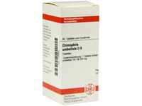 DHU-Arzneimittel GmbH & Co. KG Chimaphila Umbellata D 6 Tabletten 80 St 07246862_DBA