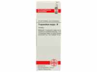 DHU-Arzneimittel GmbH & Co. KG Tropaeolum Majus Urtinktur 20 ml 07182576_DBA