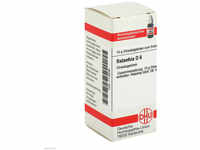 DHU-Arzneimittel GmbH & Co. KG Ratanhia D 6 Globuli 10 g 07178592_DBA