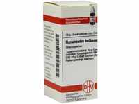 DHU-Arzneimittel GmbH & Co. KG Ranunculus Bulbosus D 30 Globuli 10 g 07178480_DBA