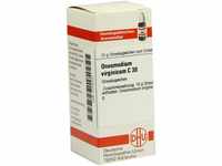 DHU-Arzneimittel GmbH & Co. KG Onosmodium Virginicum C 30 Globuli 10 g...