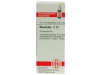 DHU-Arzneimittel GmbH & Co. KG Okoubaka C 12 Globuli 10 g 07175843_DBA