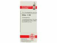 DHU-Arzneimittel GmbH & Co. KG Urtica C 30 Globuli 10 g 04241143_DBA