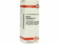 DHU-Arzneimittel GmbH & Co. KG Angelica Archangelica D 6 Dilution 20 ml...