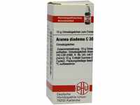 DHU-Arzneimittel GmbH & Co. KG Aranea Diadema C 30 Globuli 10 g 07159502_DBA