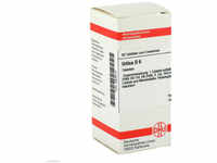 DHU-Arzneimittel GmbH & Co. KG Urtica D 6 Tabletten 80 St 02808410_DBA