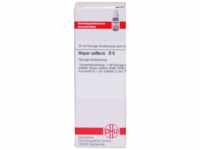 DHU-Arzneimittel GmbH & Co. KG Hepar Sulfuris D 6 Dilution 20 ml 02889259_DBA