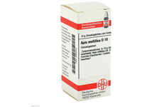 DHU-Arzneimittel GmbH & Co. KG Apis Mellifica D 10 Globuli 10 g 02893232_DBA