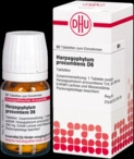 DHU-Arzneimittel GmbH & Co. KG Harpagophytum Procumbens D 6 Tabletten 80 St