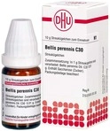 DHU-Arzneimittel GmbH & Co. KG Bellis Perennis C 30 Globuli 10 g 04207198_DBA