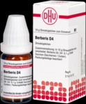 DHU-Arzneimittel GmbH & Co. KG Berberis D 4 Globuli 10 g 01760701_DBA