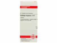 DHU-Arzneimittel GmbH & Co. KG Solidago Virgaurea D 6 Tabletten 80 St 02808284_DBA