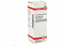 DHU-Arzneimittel GmbH & Co. KG PICHI-pichi D 4 Dilution 20 ml 02806641_DBA