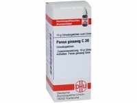 DHU-Arzneimittel GmbH & Co. KG Panax Ginseng C 30 Globuli 10 g 07249027_DBA